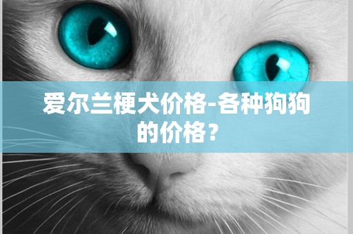 愛爾蘭梗犬價格-各種狗狗的價格？