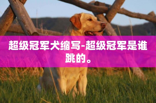 超級冠軍犬縮寫-超級冠軍是誰跳的。