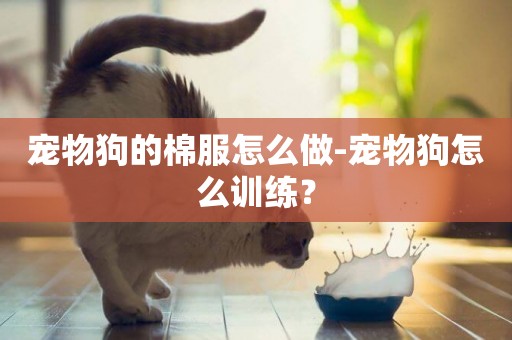 寵物狗的棉服怎么做-寵物狗怎么訓練？