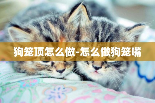 狗籠頂怎么做-怎么做狗籠嘴