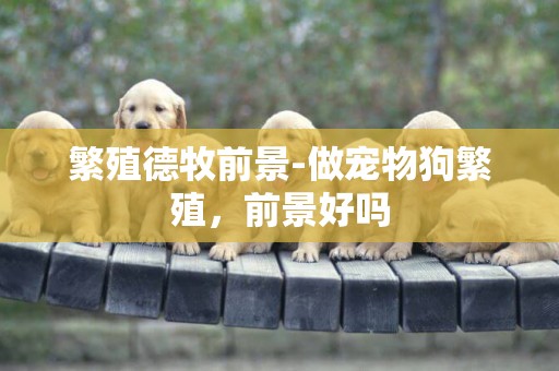 繁殖德牧前景-做寵物狗繁殖，前景好嗎