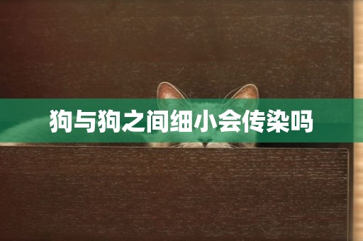 狗與狗之間細小會傳染嗎