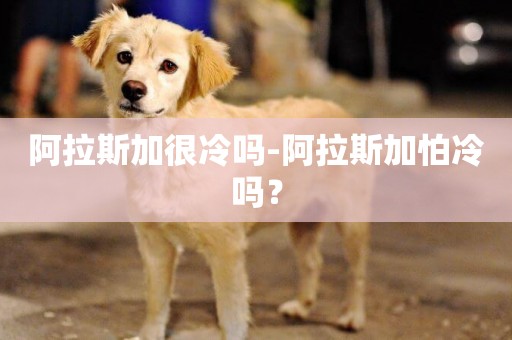 阿拉斯加很冷嗎-阿拉斯加怕冷嗎？