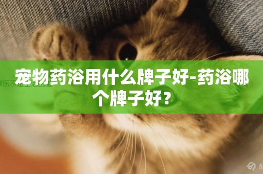寵物藥浴用什么牌子好-藥浴哪個牌子好？