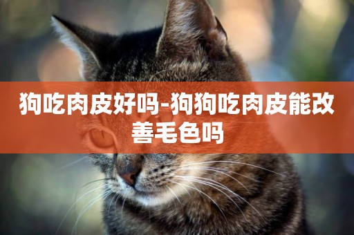 狗吃肉皮好嗎-狗狗吃肉皮能改善毛色嗎