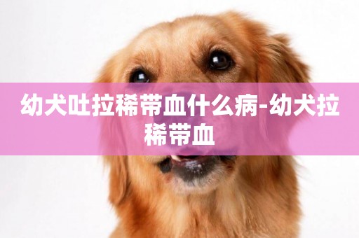 幼犬吐拉稀帶血什么病-幼犬拉稀帶血