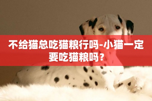 不給貓總吃貓糧行嗎-小貓一定要吃貓糧嗎？