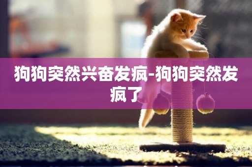 狗狗突然興奮發瘋-狗狗突然發瘋了