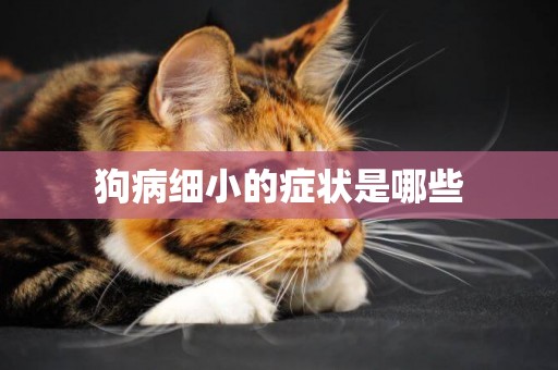 狗病細小的癥狀是哪些