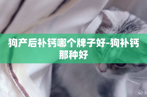 狗產后補鈣哪個牌子好-狗補鈣那種好