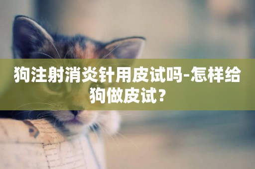 狗注射消炎針用皮試嗎-怎樣給狗做皮試？