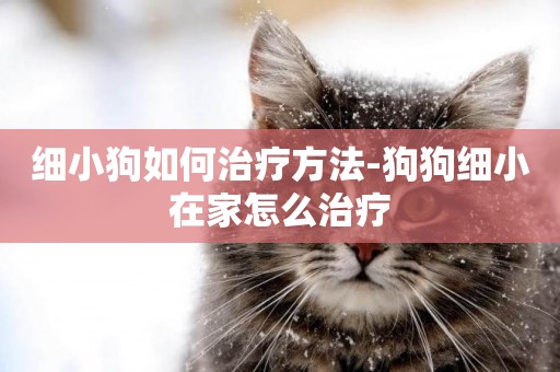 細小狗如何治療方法-狗狗細小在家怎么治療