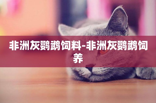非洲灰鸚鵡飼料-非洲灰鸚鵡飼養