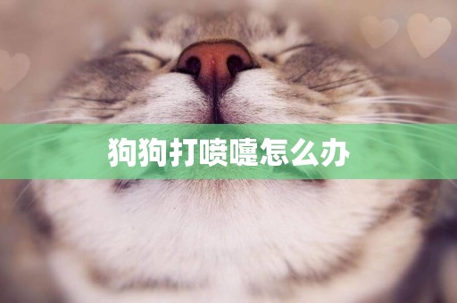 狗狗打噴嚏怎么辦