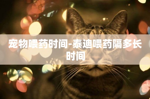 寵物喂藥時間-泰迪喂藥隔多長時間