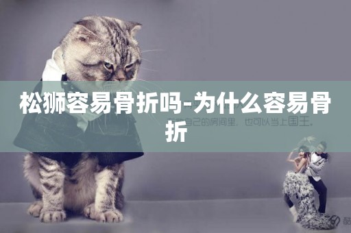 松獅容易骨折嗎-為什么容易骨折