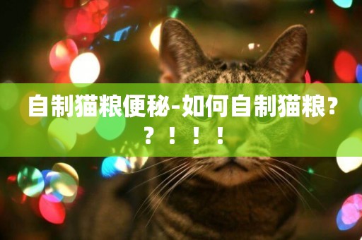 自制貓糧便秘-如何自制貓糧？？！！！
