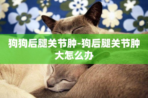 狗狗后腿關節腫-狗后腿關節腫大怎么辦