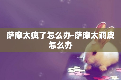 薩摩太瘋了怎么辦-薩摩太調皮怎么辦