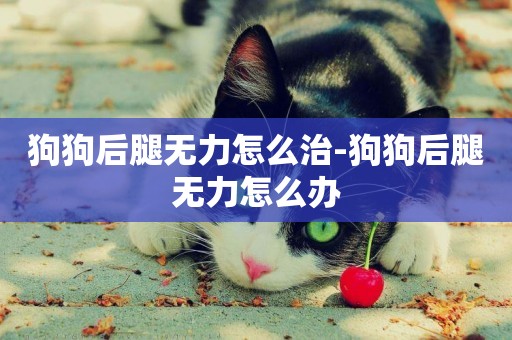 狗狗后腿無力怎么治-狗狗后腿無力怎么辦