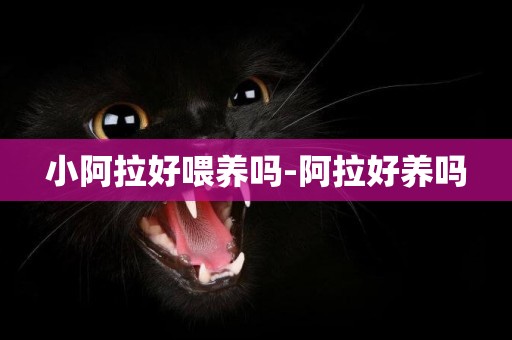 小阿拉好喂養嗎-阿拉好養嗎