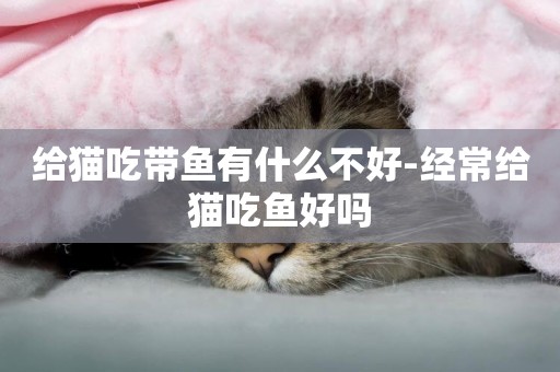給貓吃帶魚有什么不好-經常給貓吃魚好嗎