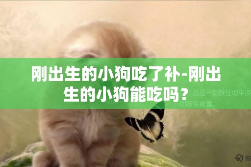 剛出生的小狗吃了補-剛出生的小狗能吃嗎？