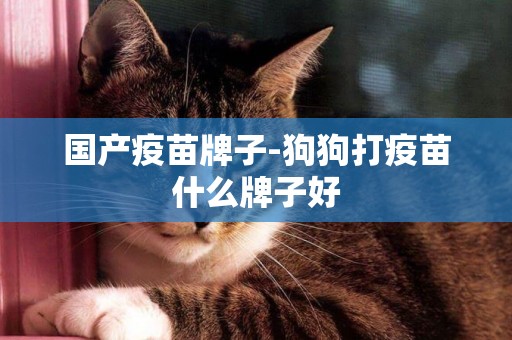 國產疫苗牌子-狗狗打疫苗什么牌子好