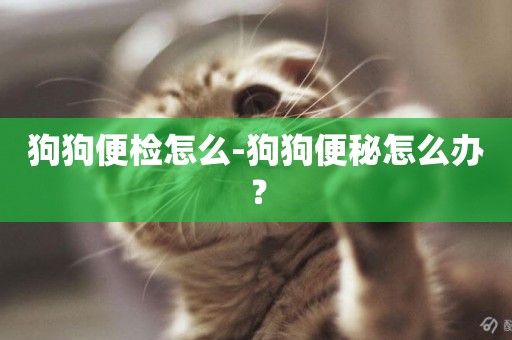 狗狗便檢怎么-狗狗便秘怎么辦？