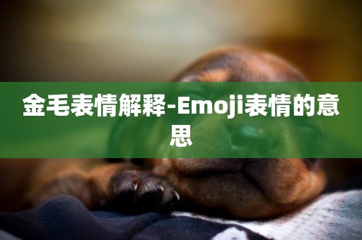 金毛表情解釋-Emoji表情的意思
