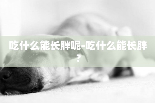 吃什么能長胖呢-吃什么能長胖？