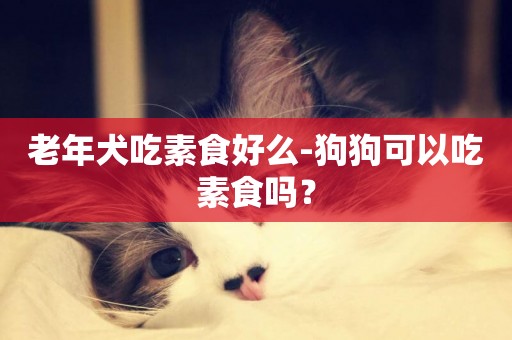 老年犬吃素食好么-狗狗可以吃素食嗎？