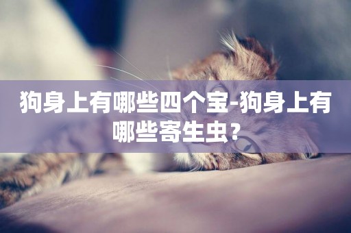 狗身上有哪些四個寶-狗身上有哪些寄生蟲？