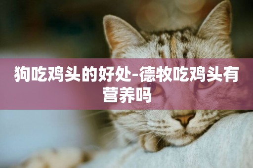 狗吃雞頭的好處-德牧吃雞頭有營養嗎
