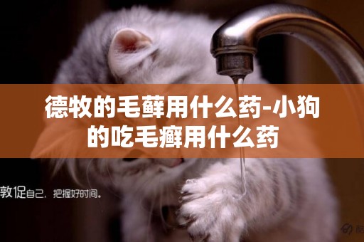 德牧的毛蘚用什么藥-小狗的吃毛癬用什么藥
