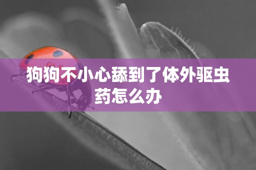 狗狗不小心舔到了體外驅蟲藥怎么辦