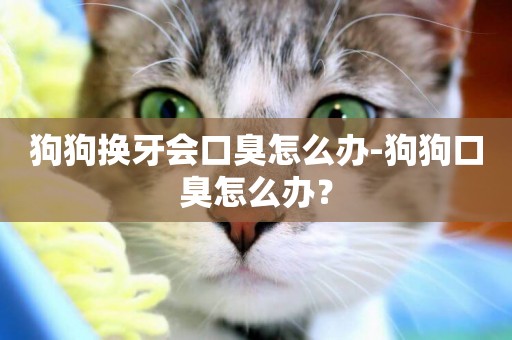 狗狗換牙會口臭怎么辦-狗狗口臭怎么辦？