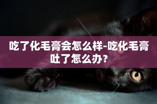 吃了化毛膏會怎么樣-吃化毛膏吐了怎么辦？