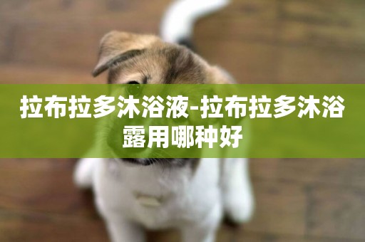 拉布拉多沐浴液-拉布拉多沐浴露用哪種好
