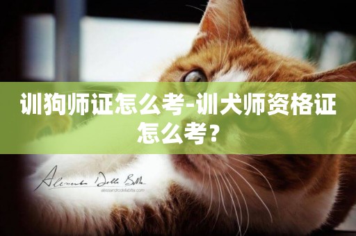 訓狗師證怎么考-訓犬師資格證怎么考？