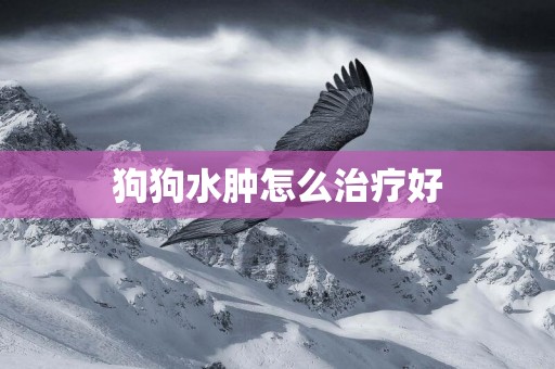 狗狗水腫怎么治療好