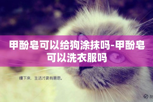 甲酚皂可以給狗涂抹嗎-甲酚皂可以洗衣服嗎