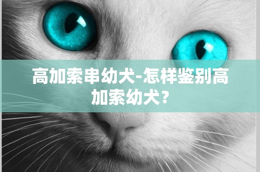 高加索串幼犬-怎樣鑒別高加索幼犬？
