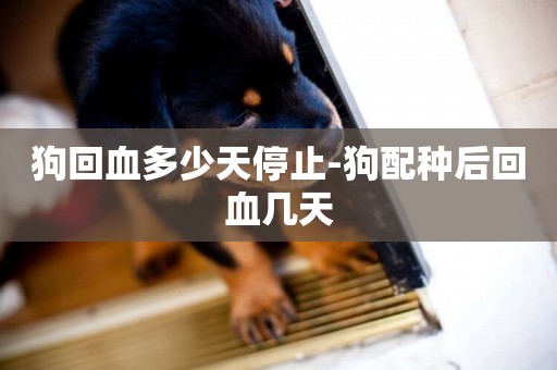 狗回血多少天停止-狗配種后回血幾天