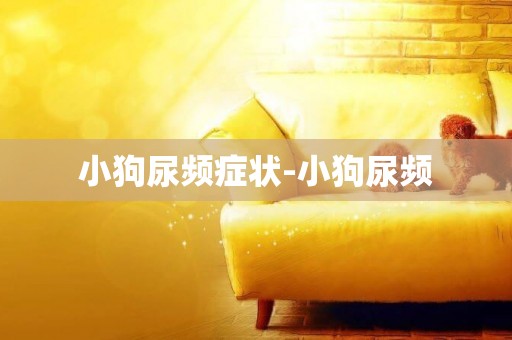 小狗尿頻癥狀-小狗尿頻