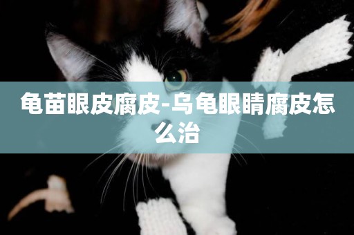 龜苗眼皮腐皮-烏龜眼睛腐皮怎么治