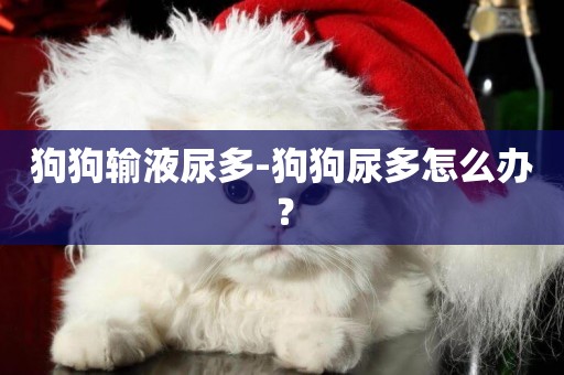 狗狗輸液尿多-狗狗尿多怎么辦？