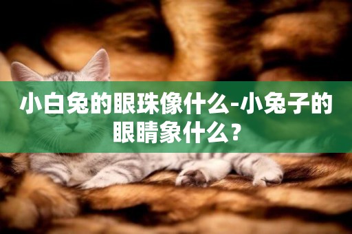 小白兔的眼珠像什么-小兔子的眼睛象什么？