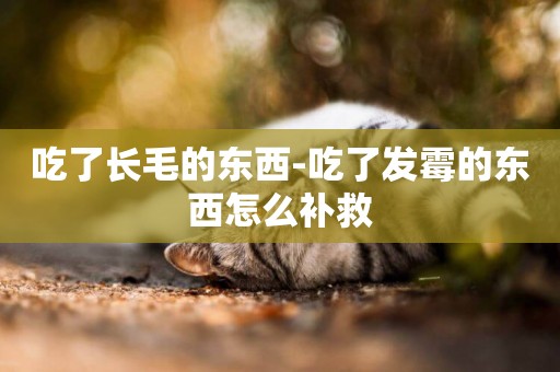 吃了長毛的東西-吃了發霉的東西怎么補救