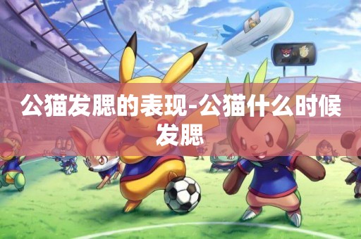 公貓發腮的表現-公貓什么時候發腮